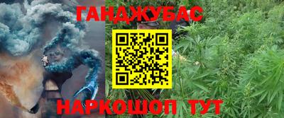 дживик Моздок