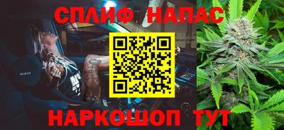 дживик Моздок