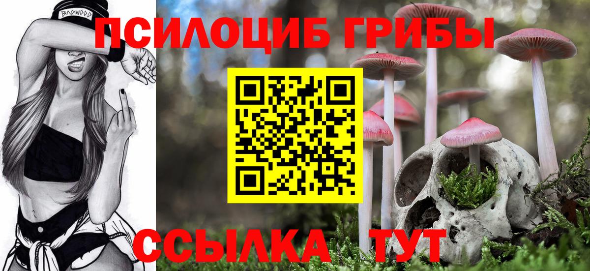 Псилоцибиновые грибы мухоморы Новодвинск