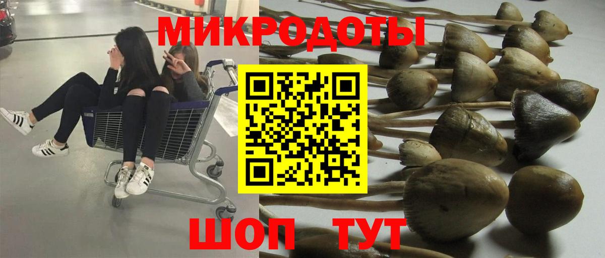Галлюциногенные грибы GOLDEN TEACHER  Вход с VPN  Новодвинск 